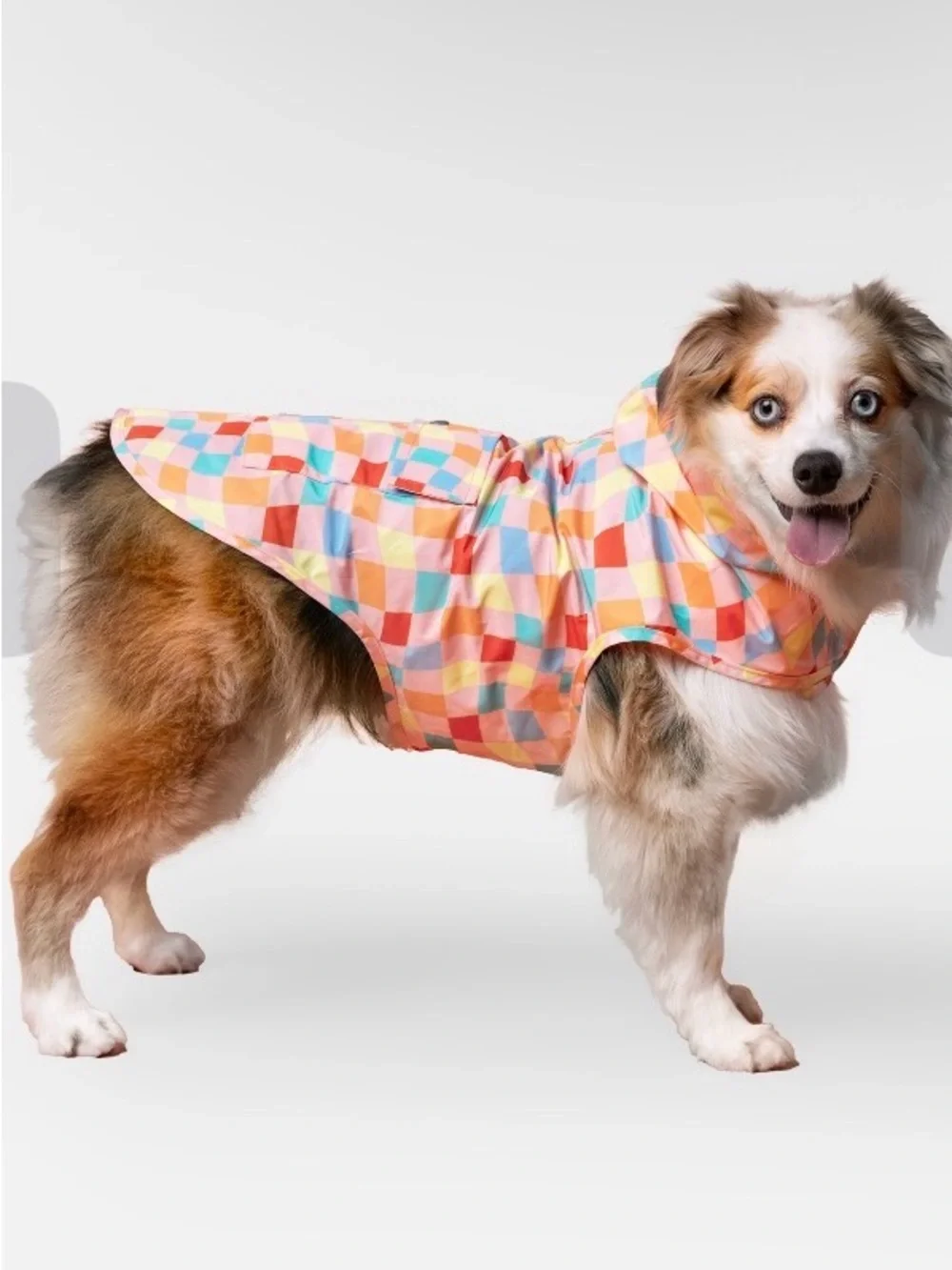 Canada Pooch Pick Me Poncho Multi Colred Checker Hooded Dog Coat